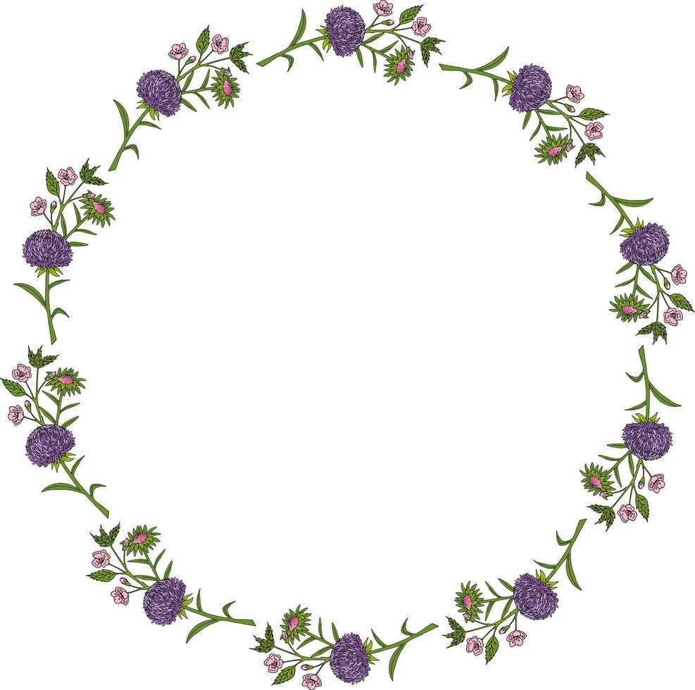 moldura redonda com flores de áster rosa e violeta e ramos de sakura em fundo branco. estilo doodle. imagem vetorial. vetor