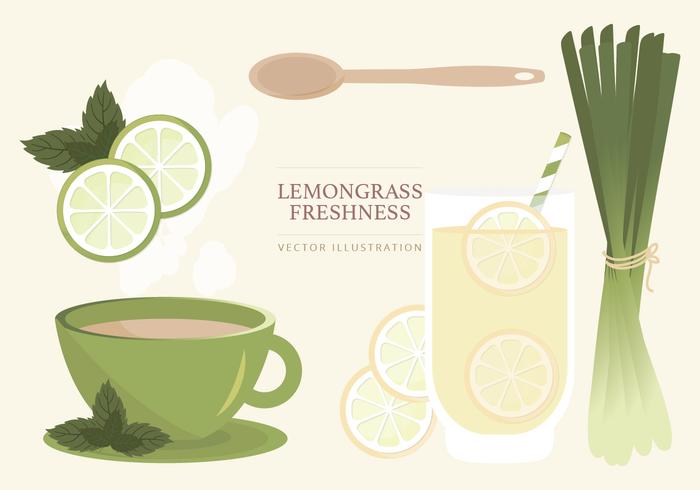 Ilustração vetorial Lemongrass vetor