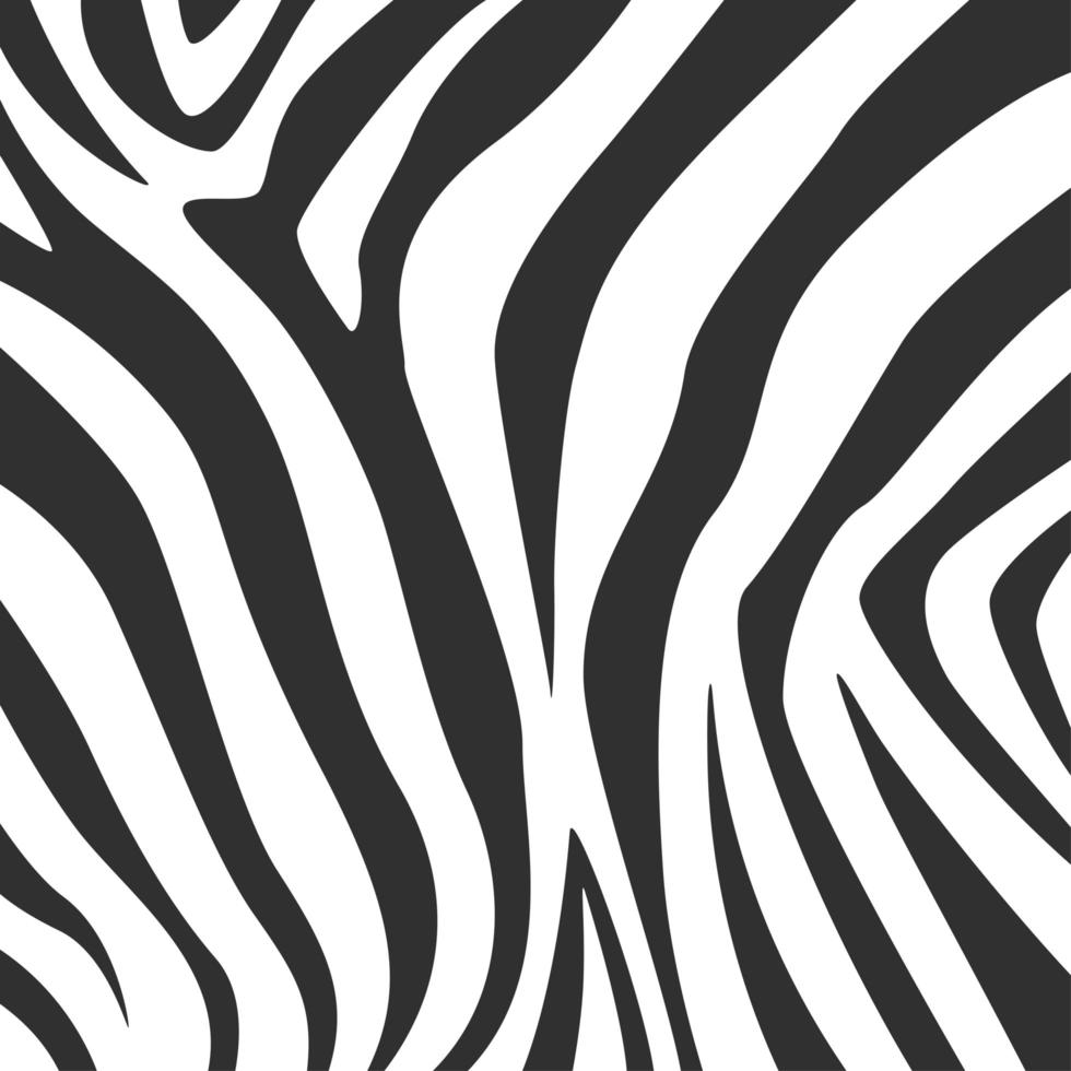 padrão de impressão de zebra preto e branco vetor