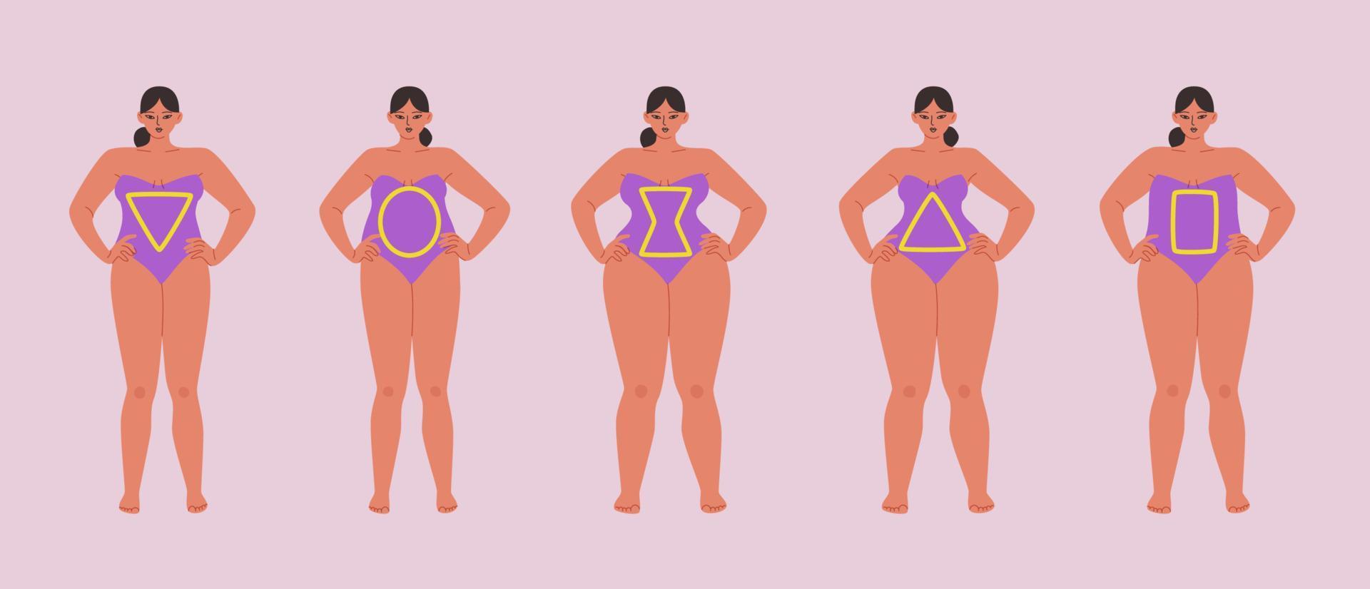 tipos de corpo feminino completos isolados. mulheres curvilíneas ficam em fila em trajes de banho roxos. ilustração em vetor de meninas gordinhas com sinais de triângulo, círculo, ampulheta e retângulo.