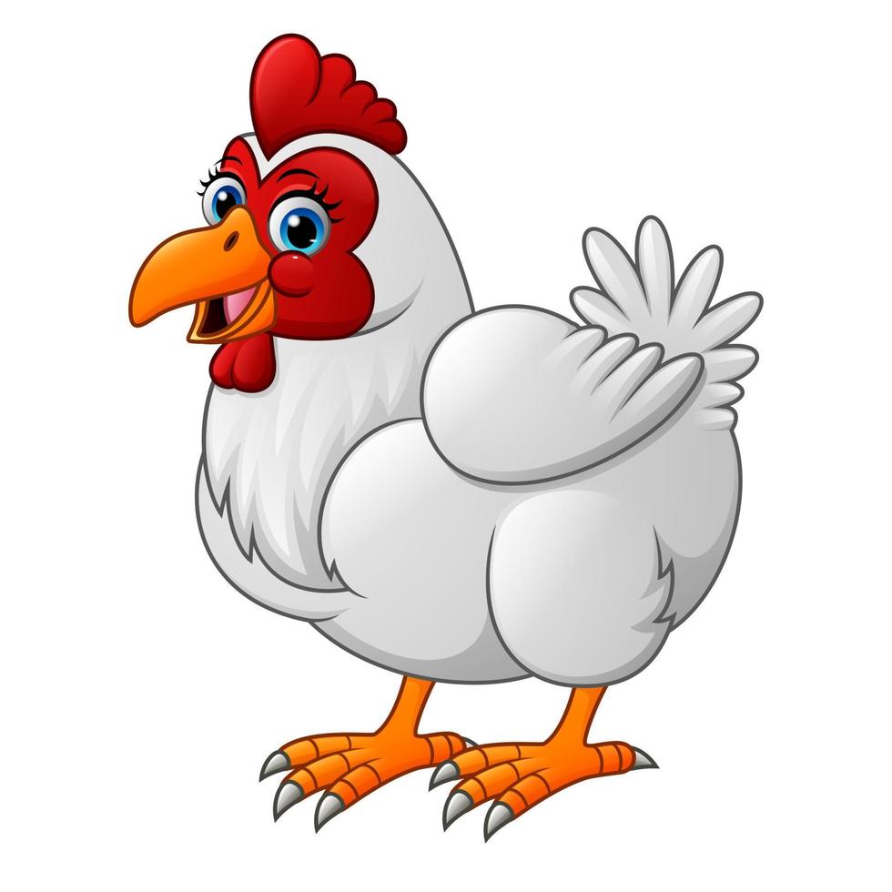 galinha dos desenhos animados isolada no fundo branco vetor