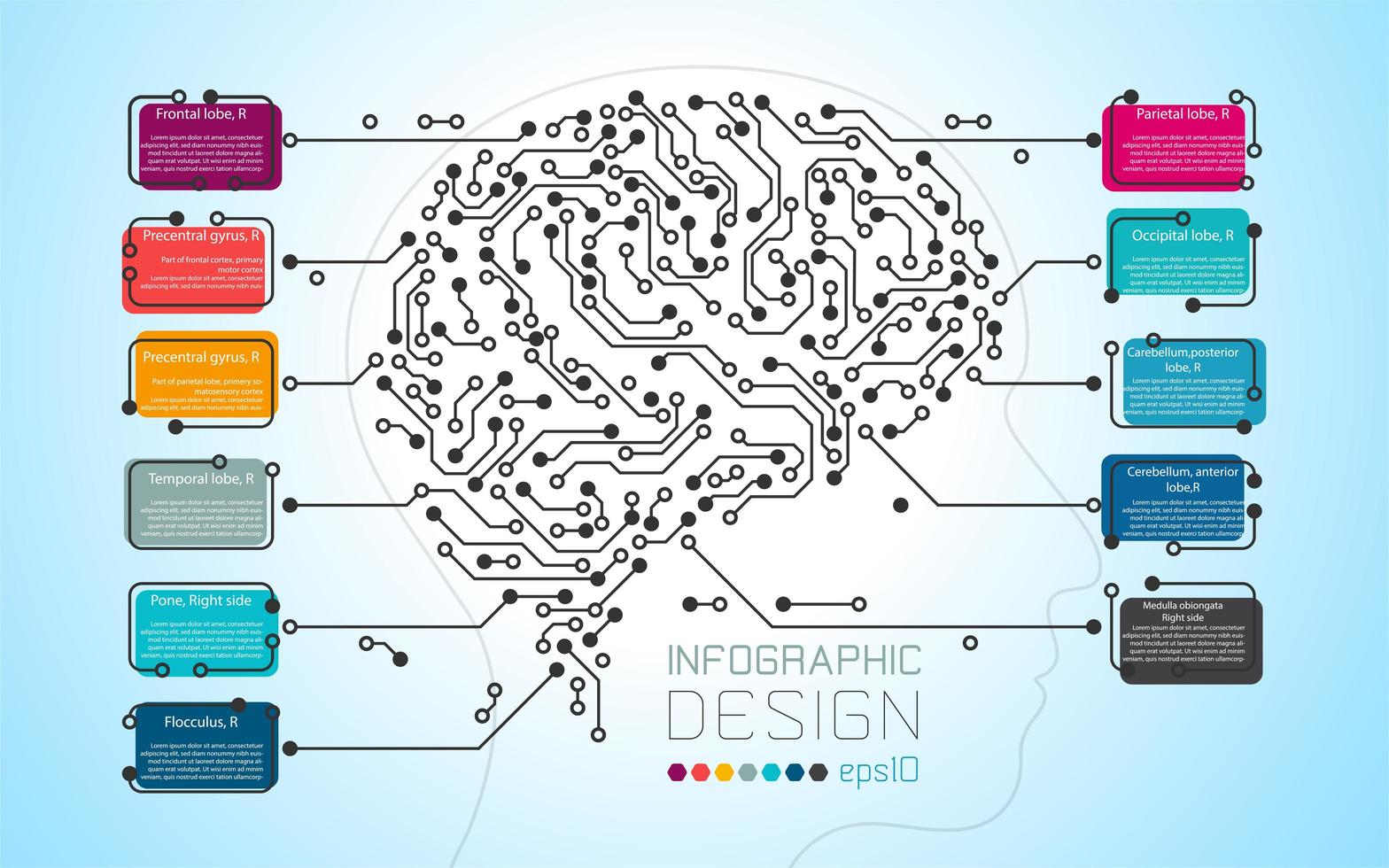 modelo de infográfico de cérebro colorido vetor