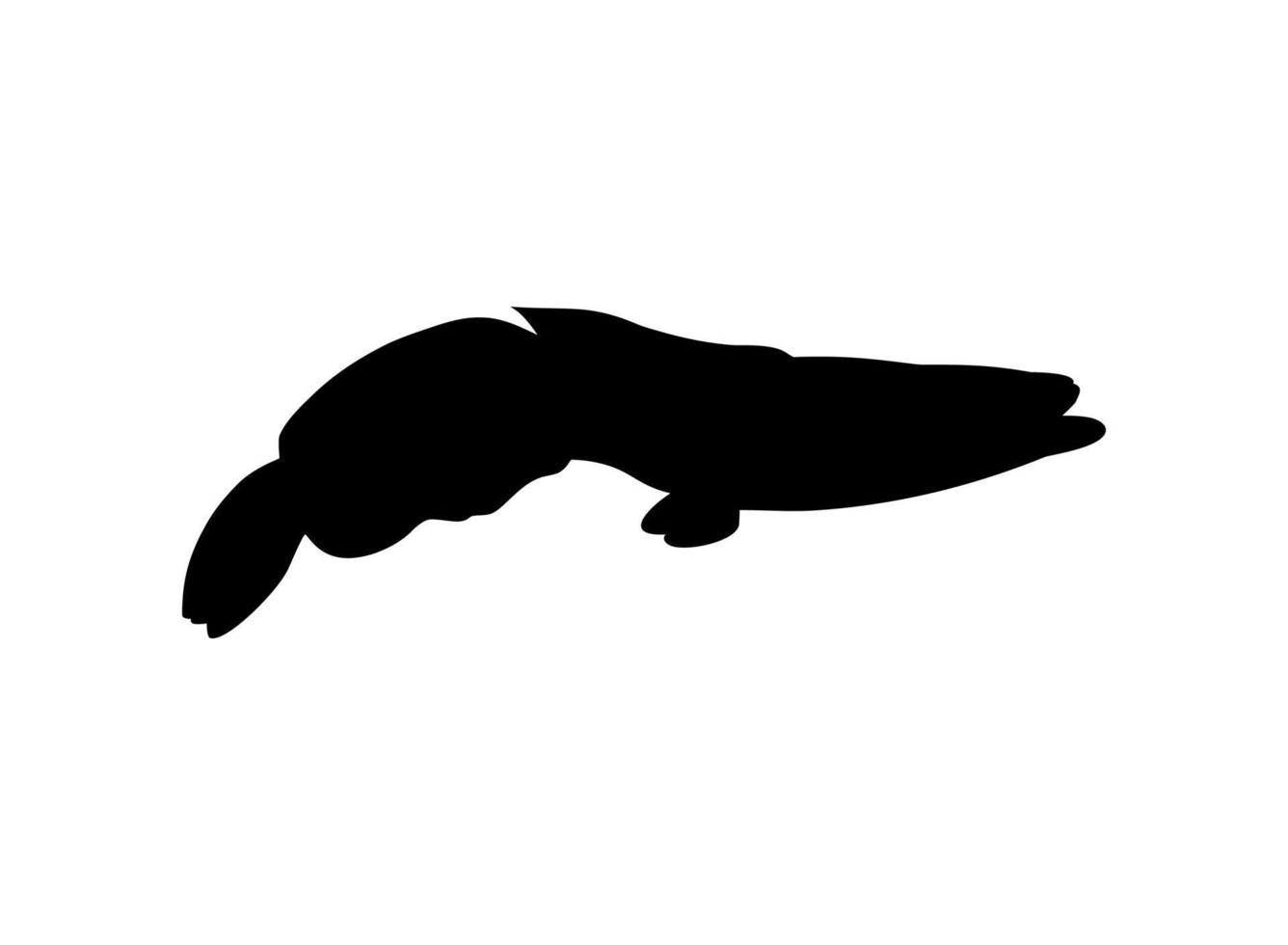 peixe cabeça de cobra, família de peixes perciformes de água doce channidae, silhueta para logotipo, pictograma ou elemento de design gráfico. ilustração vetorial vetor