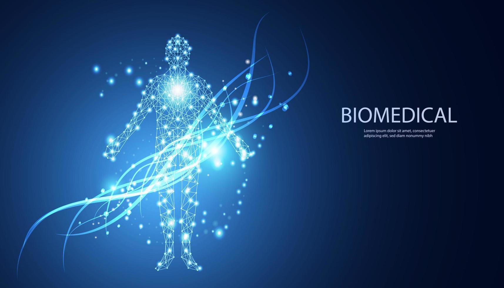 conceito futurista de tecnologia abstrata de design futuro de interface digital biomédica do corpo humano digital em fundo de alta tecnologia. vetor