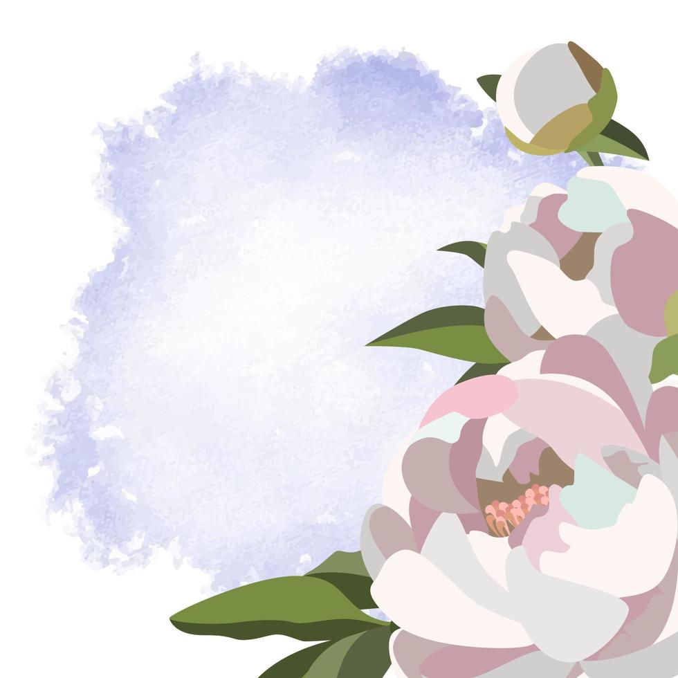 modelo floral quadrado com peônias brancas e folhas em fundo roxo com estilo aquarela vetor