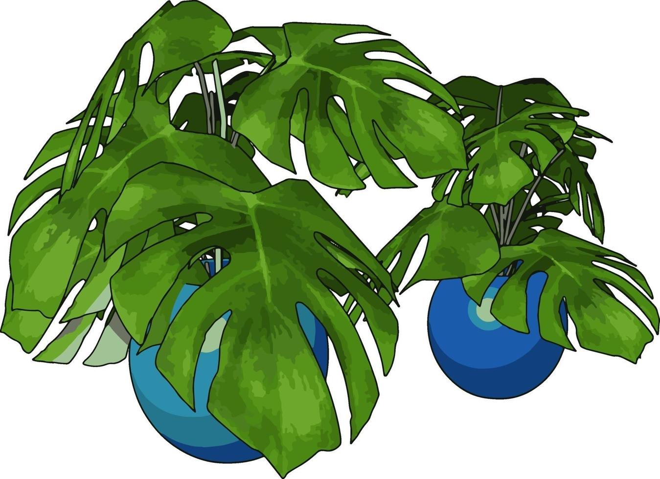plantas verdes em vaso, ilustração, vetor em fundo branco.