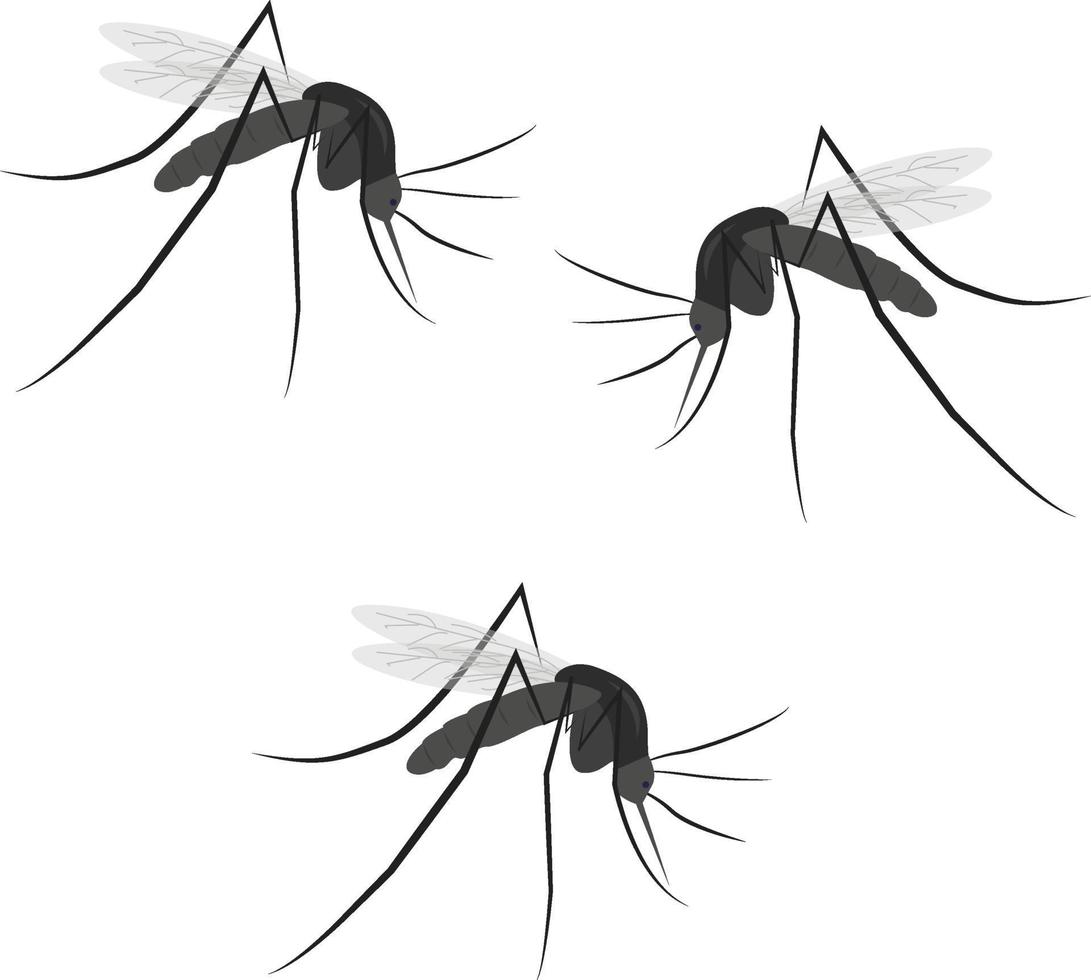 três mosquitos, ilustração, vetor em um fundo branco.