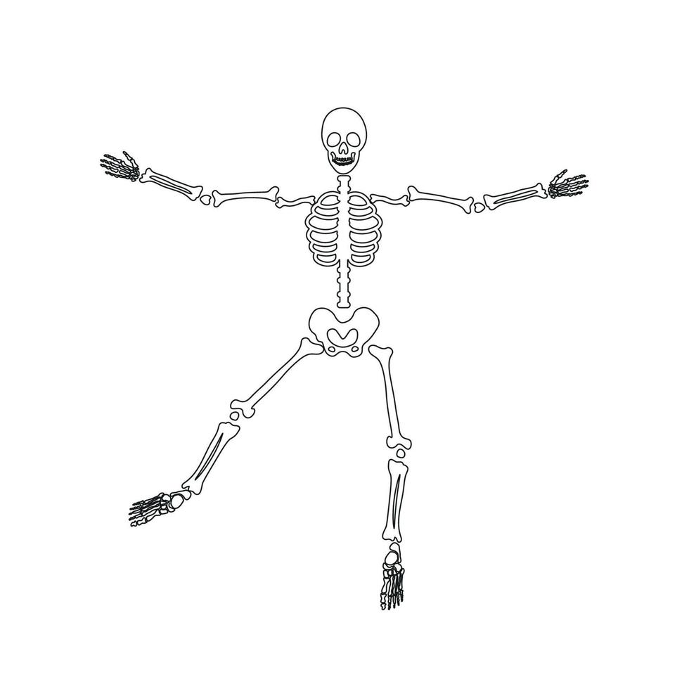 esqueleto de ossos assustadores de halloween vetor