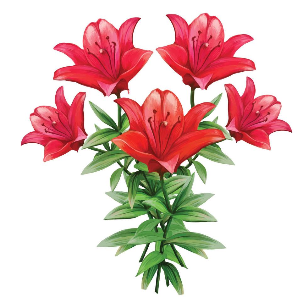 buquê de ilustração vetorial de flores de lírio vermelho vetor