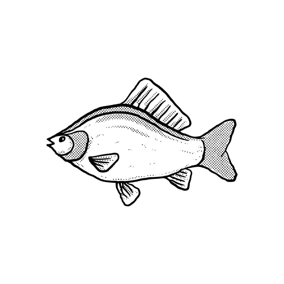 ilustração de peixe desenho de desenho desenhado à mão lineart vetor de estilo vintage