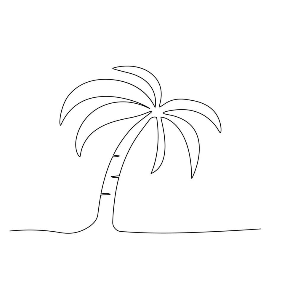 palmeira é uma planta tropical. ilustração vetorial de estoque. Isolado em um fundo branco. vetor