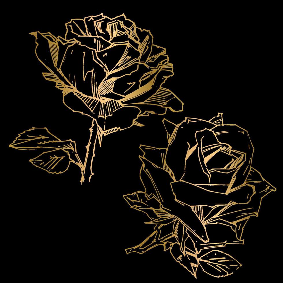 rosa desenhada à mão. ilustração vetorial. estilo de tatuagem vintage rosa. esboço de motivo de flor para design. ilustração de tinta isolada. vetor