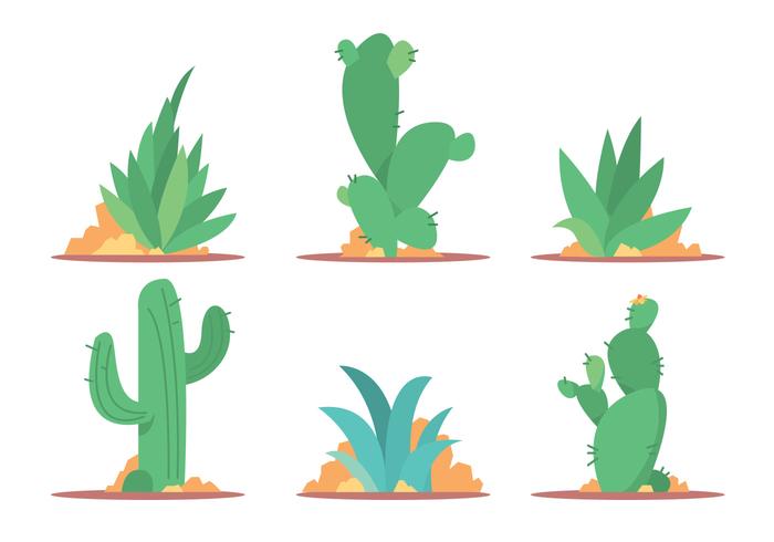 Conjunto de vetores de cactus e maguey