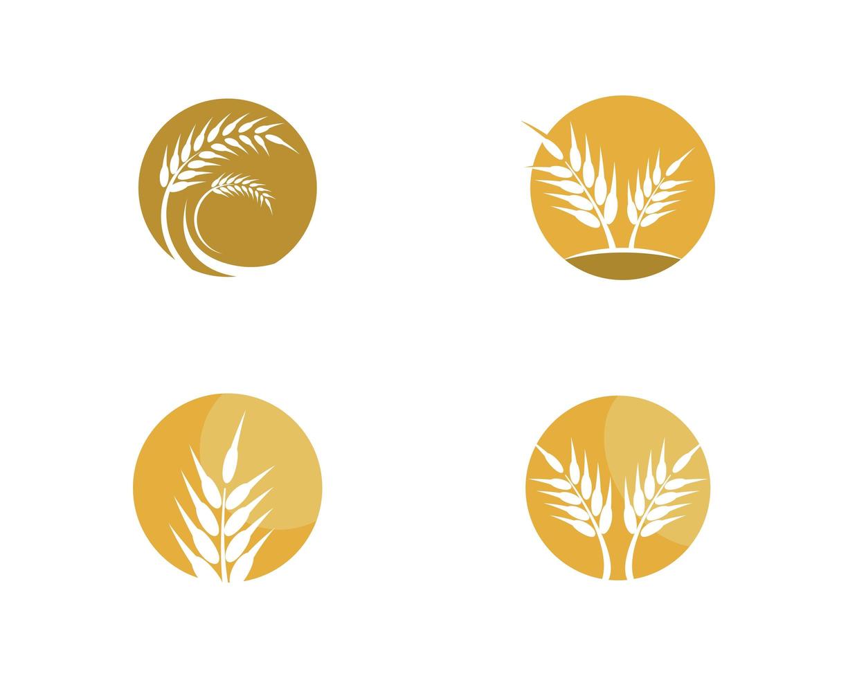 conjunto de ícones do logotipo do trigo vetor