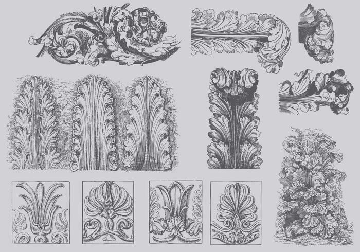 Ilustrações de Vintage Acanthus vetor