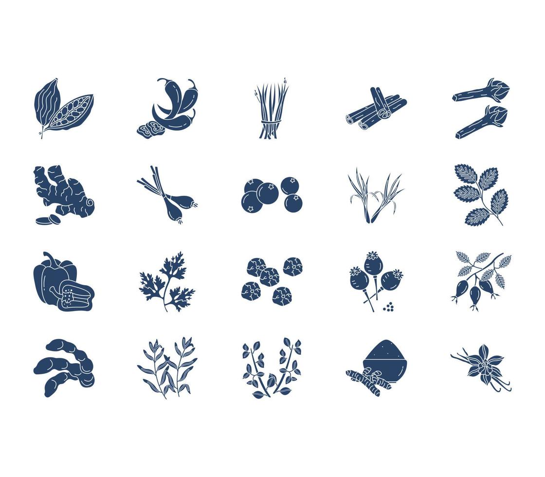 conjunto de ícones de ervas e especiarias vetor
