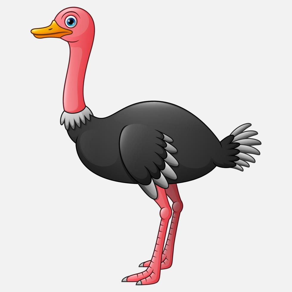 lindo desenho de avestruz vetor