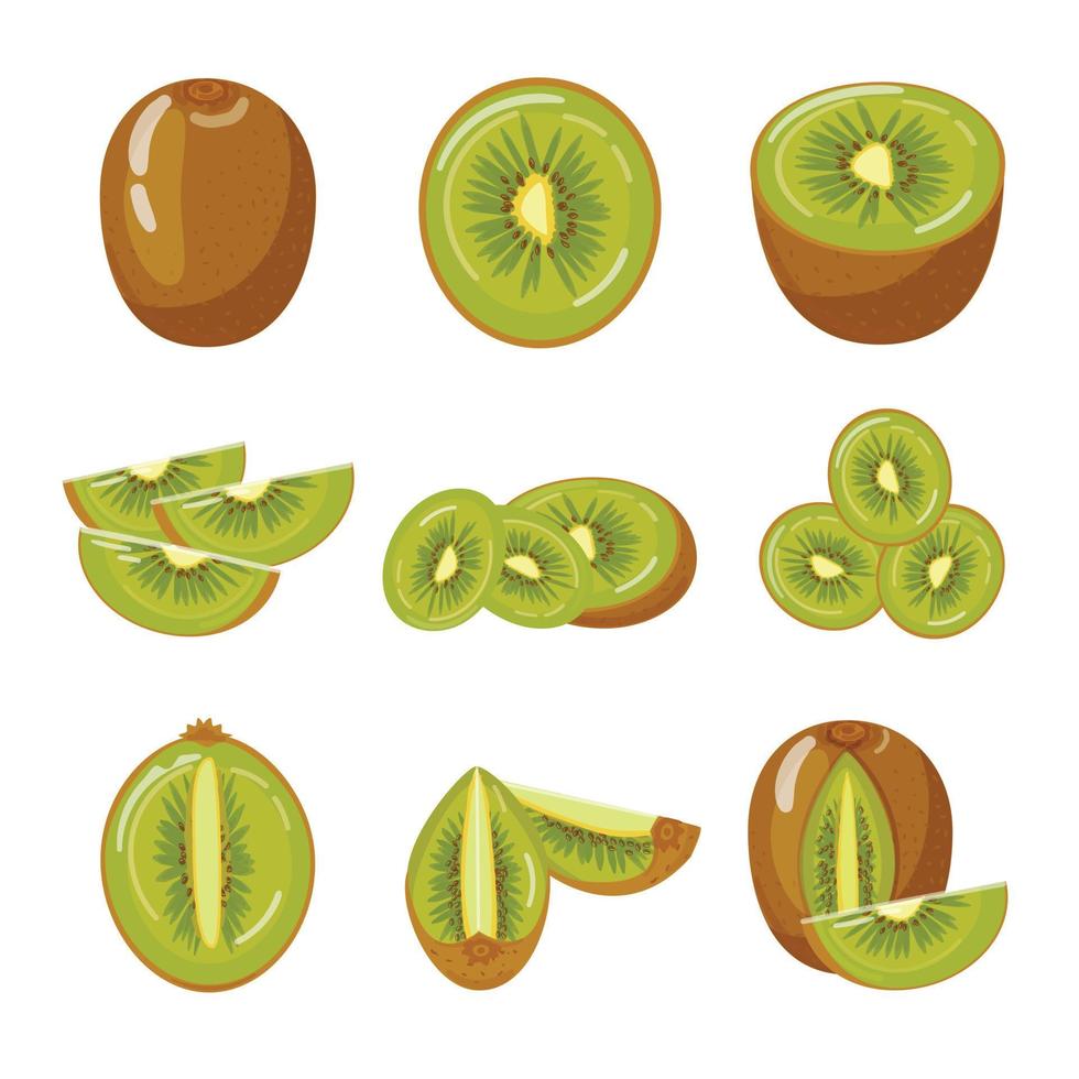 ícones de kiwi definir vetor de desenho animado. fruticultura