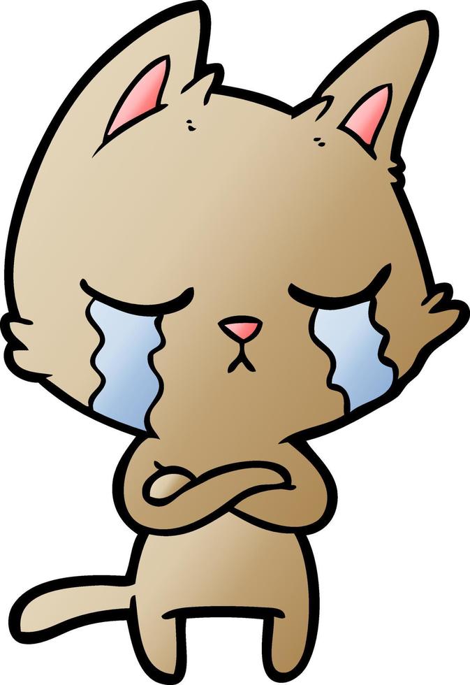 gato de desenho animado chorando com braços cruzados vetor