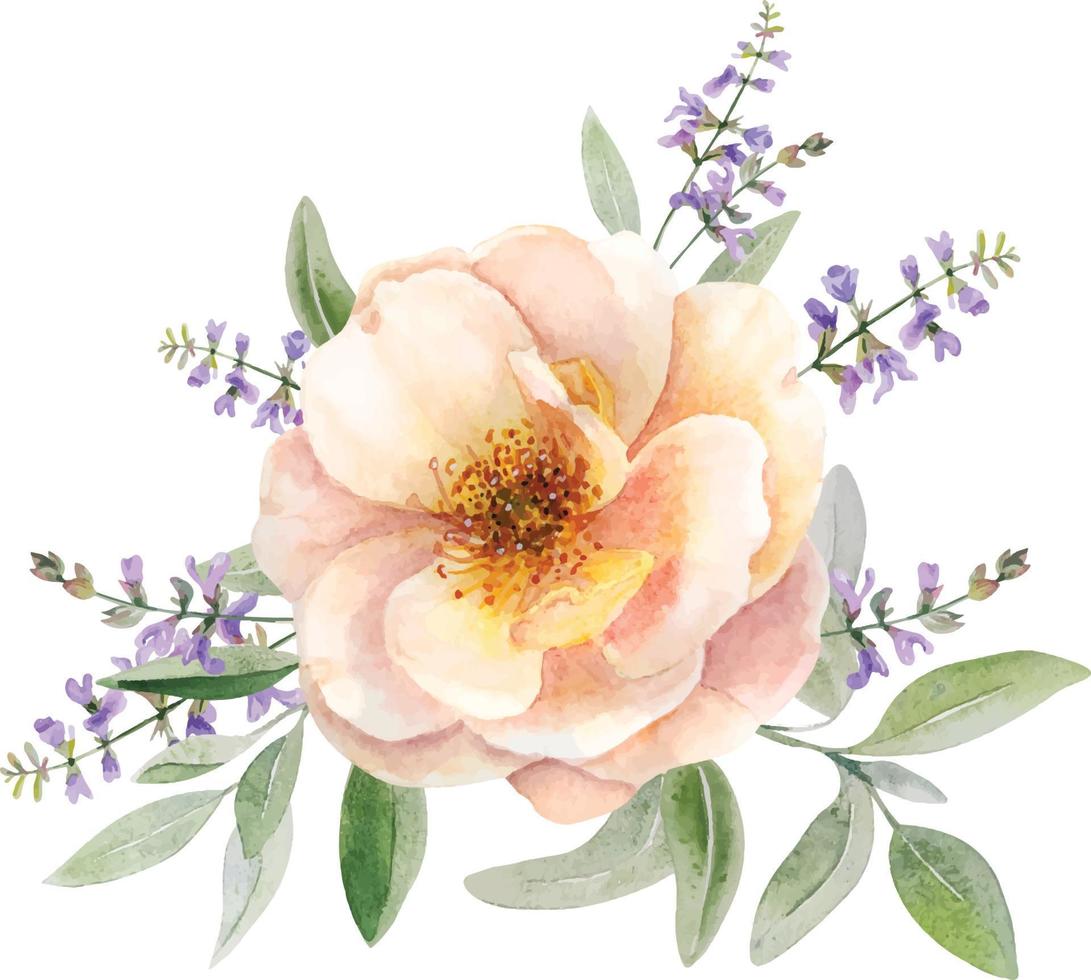 composição delicada em aquarela com rosas selvagens e ervas vetor