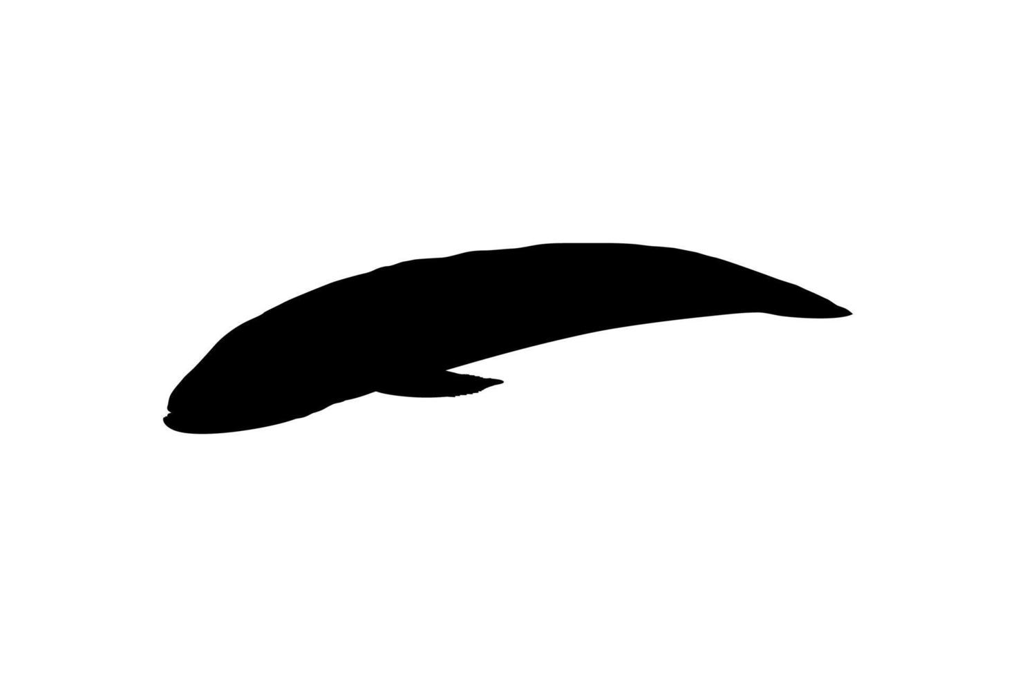 peixe cabeça de cobra, silhueta de channidae da família de peixes perciformes de água doce para logotipo, pictograma ou elemento de design gráfico. ilustração vetorial vetor