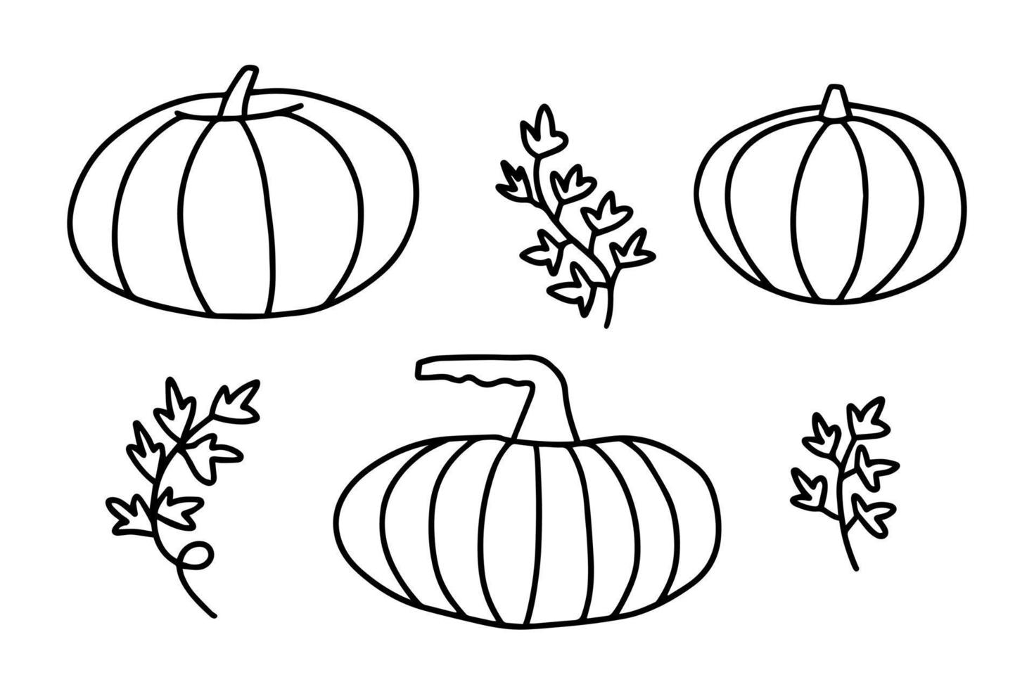 doodle vector conjunto de ilustração de abóbora, abóboras desenhadas à mão isoladas no fundo branco.