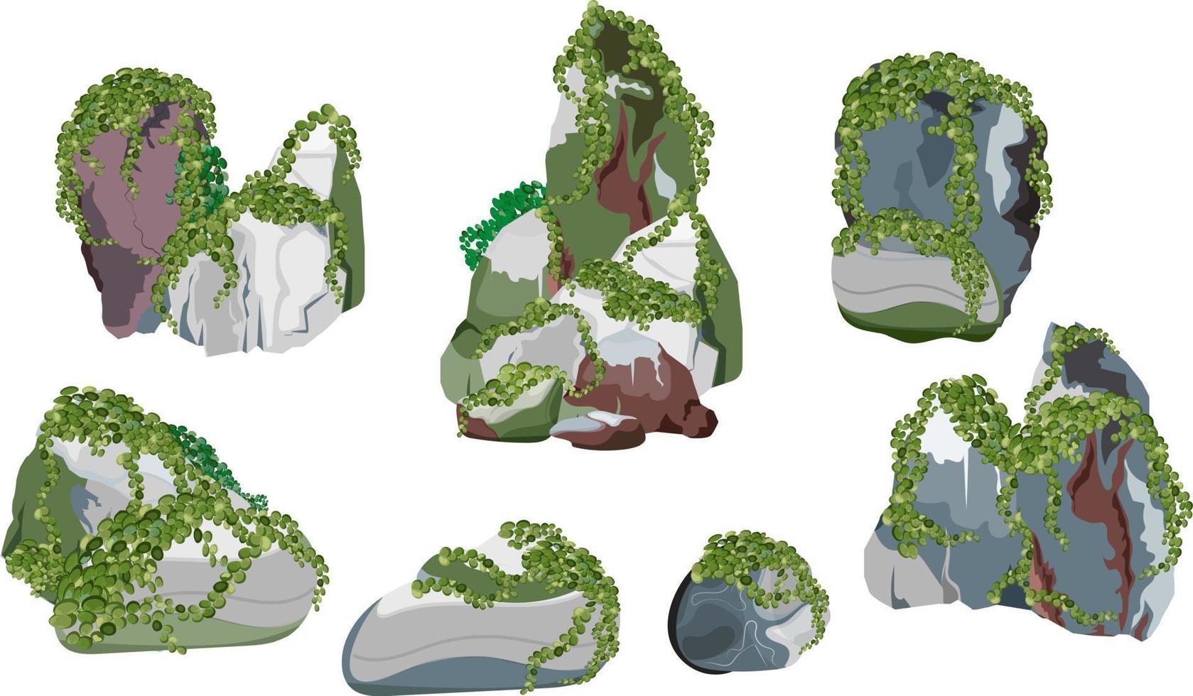 coleção de pedras e plantas de várias formas. seixos costeiros, paralelepípedos, cascalho, minerais e formações geológicas. fragmentos de rocha, pedregulhos e material de construção. vetor