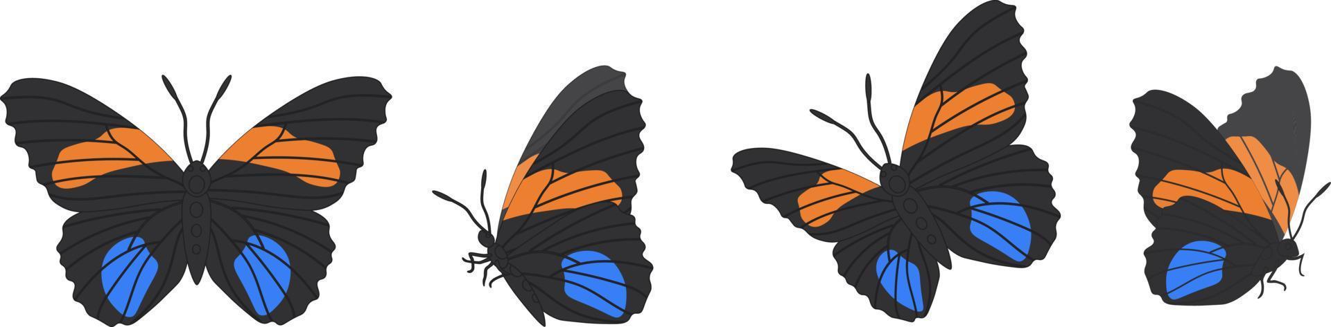 conjunto de vetores de lindas borboletas coloridas em um fundo branco