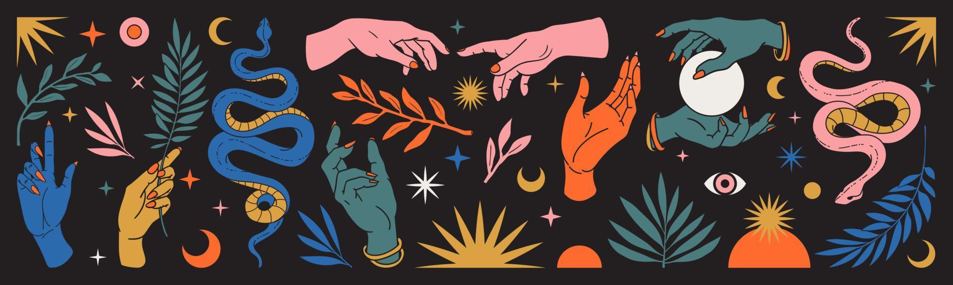 conjunto místico abstrato com mãos, cobras, lua, sol, magia, folhas, elementos florais no estilo celestial boêmio da moda. vetor