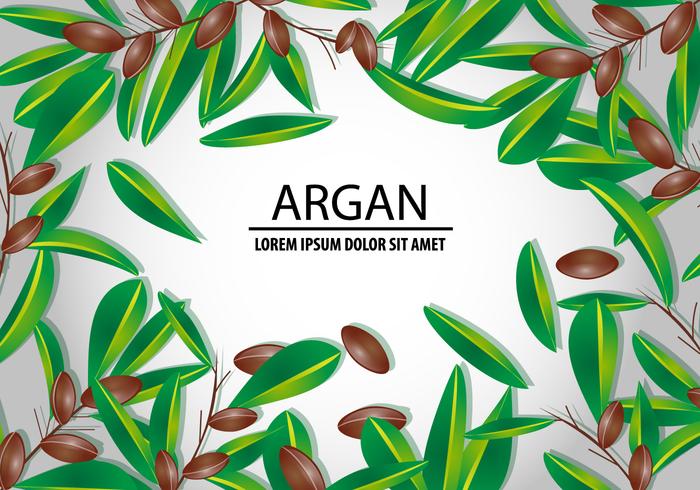 Argan sem costura e conceito de fundo vetor