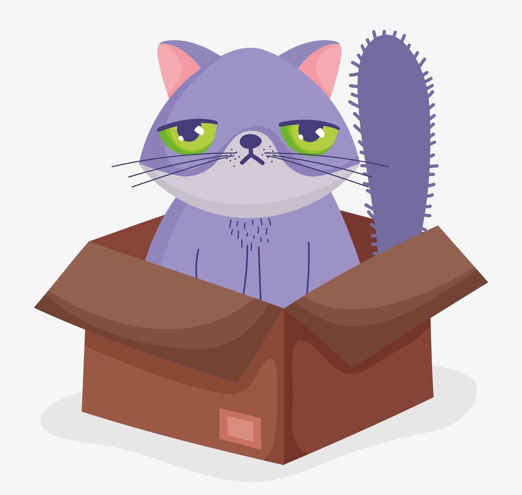gato fofo entediado em uma caixa de papelão vetor