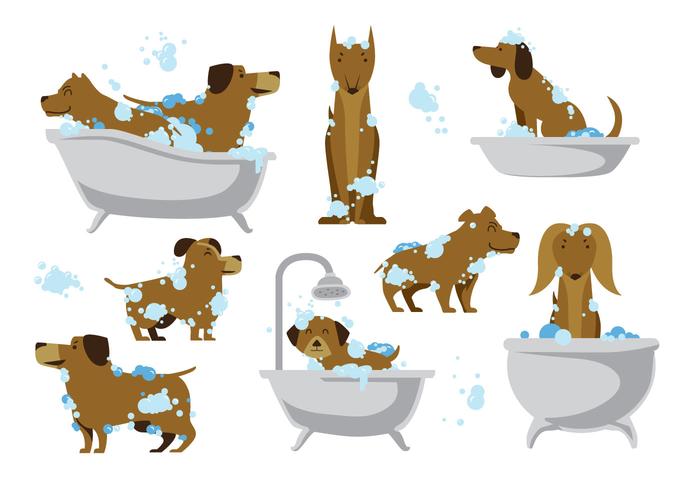 Vector de lavagem de cachorro grátis