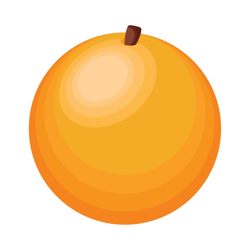 fruta fresca de laranja vetor