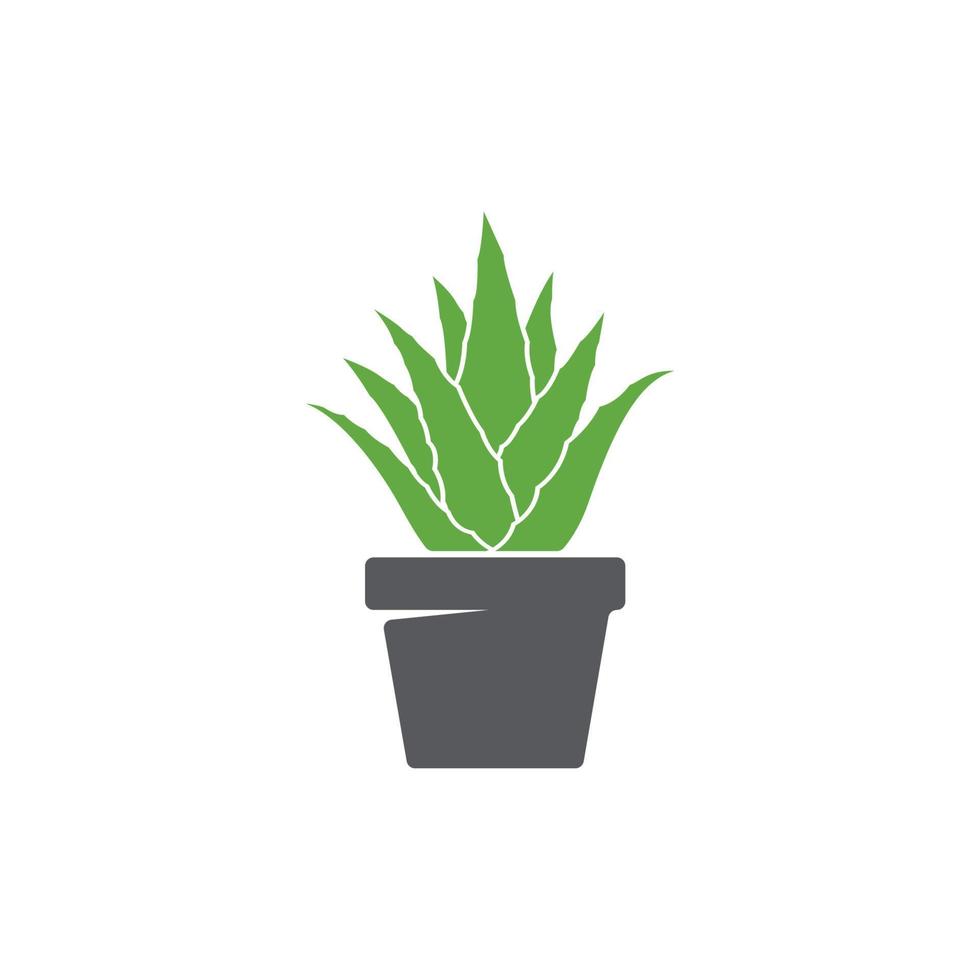 ícone de aloe vera e pote. design moderno de ícone de planta em vaso. folha no vetor de ícone de pote. logotipo do jardim. ilustração vetorial