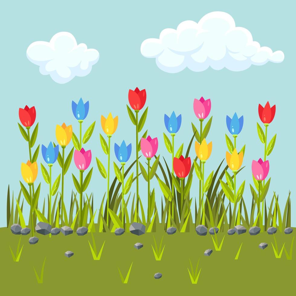 campo de flores com tulipas coloridas. fronteira de grama verde. cena de primavera com céu azul e nuvens vetor