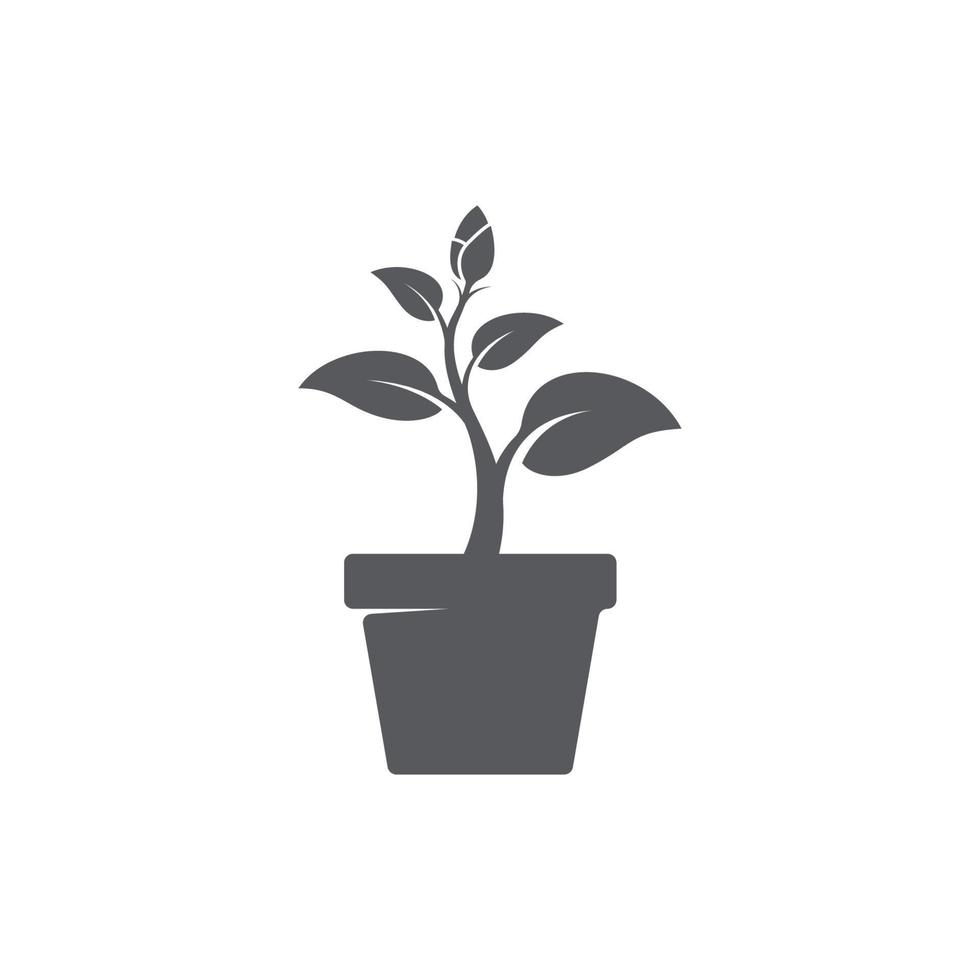 ícone de folha e pote. design moderno de ícone de planta em vaso. folha no vetor de ícone de pote. logotipo do jardim. ilustração vetorial