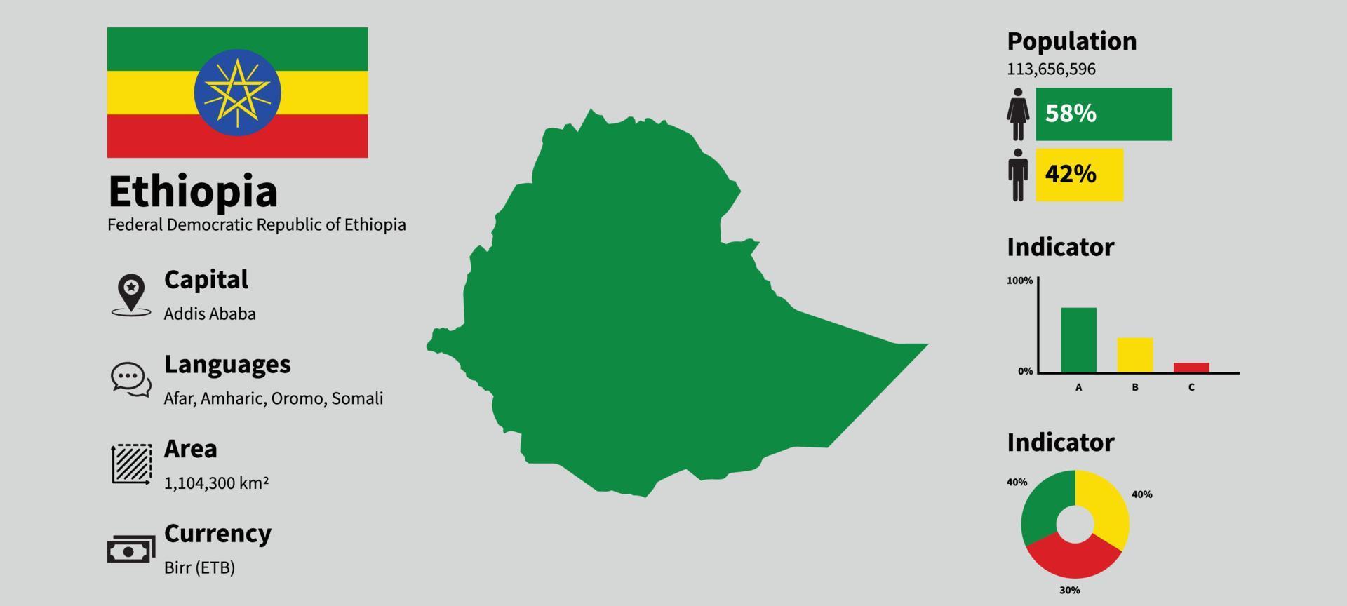 ficha técnica do país etiópia, infográfico com estatísticas do país vetor