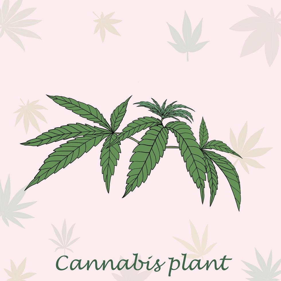 simplicidade planta de cannabis desenho à mão livre design plano. vetor