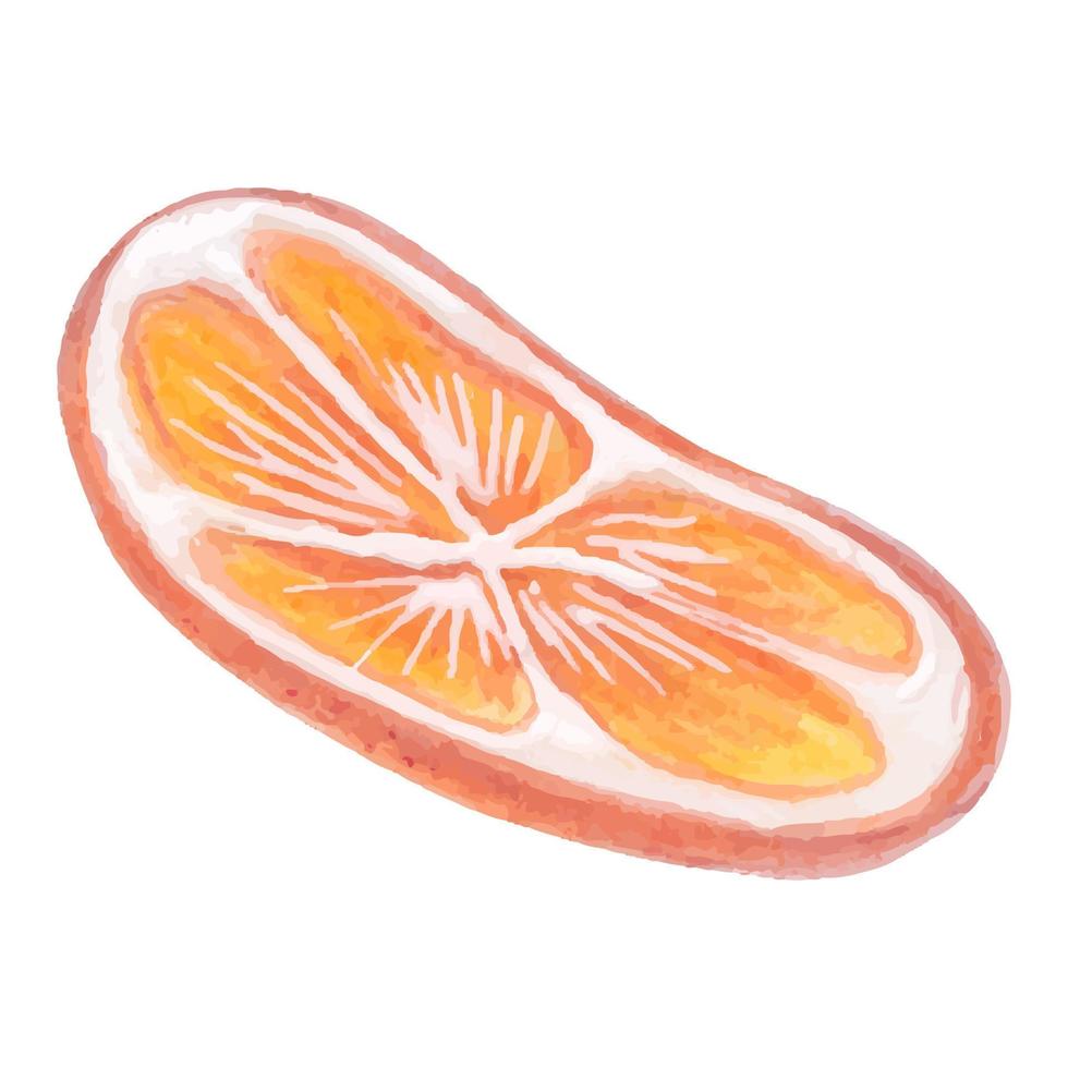 um pedaço de laranja, uma fatia desenhada à mão, vetor