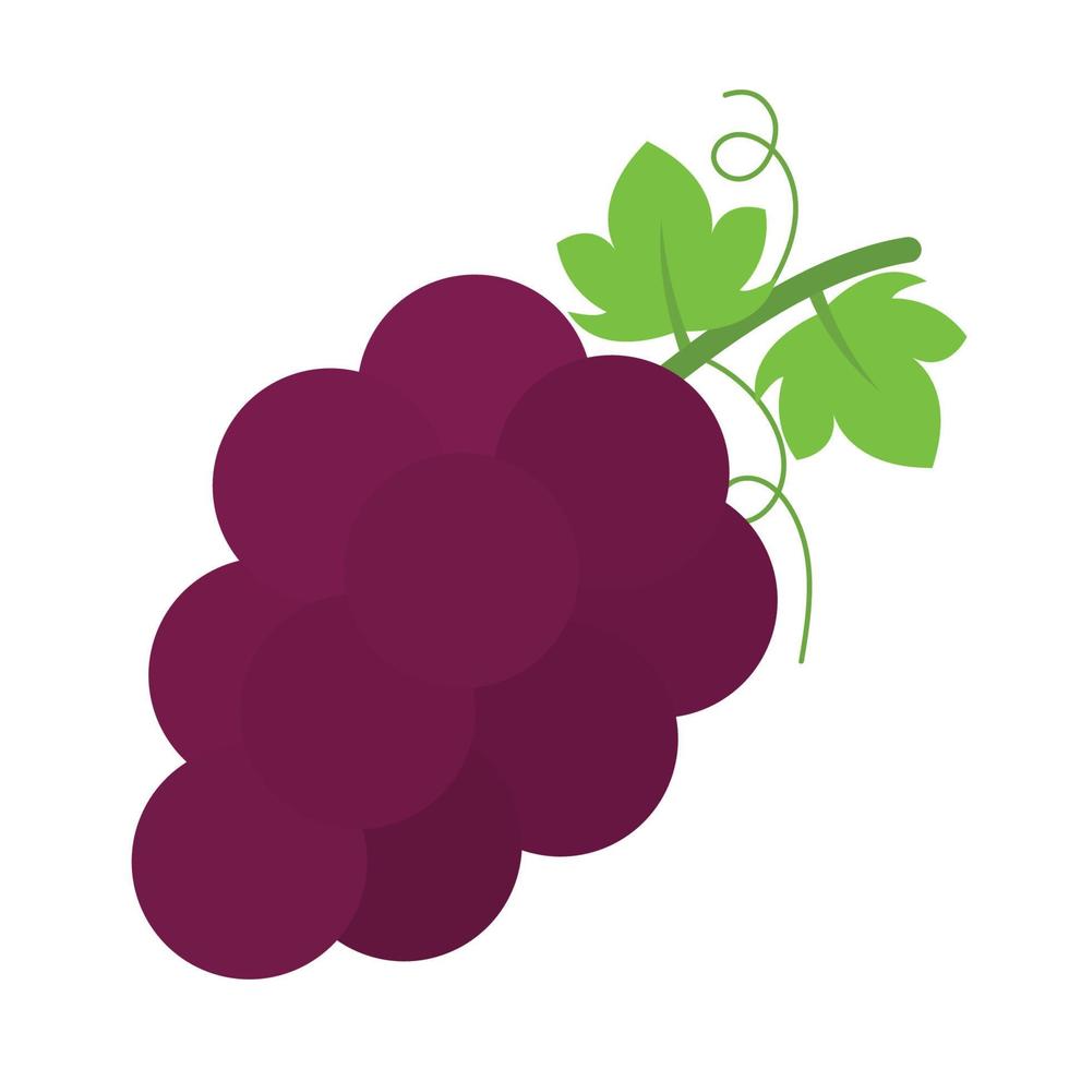 ilustração gráfica de clipart de frutas de vetor de ícone de uvas animadas em fundo branco