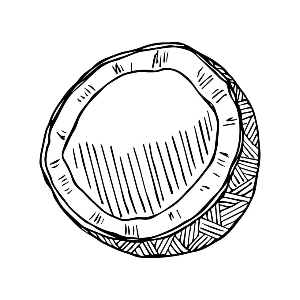 cliparts de coco. ícone de porca desenhada de mão. ilustração tropical. para impressão, web, design, decoração vetor