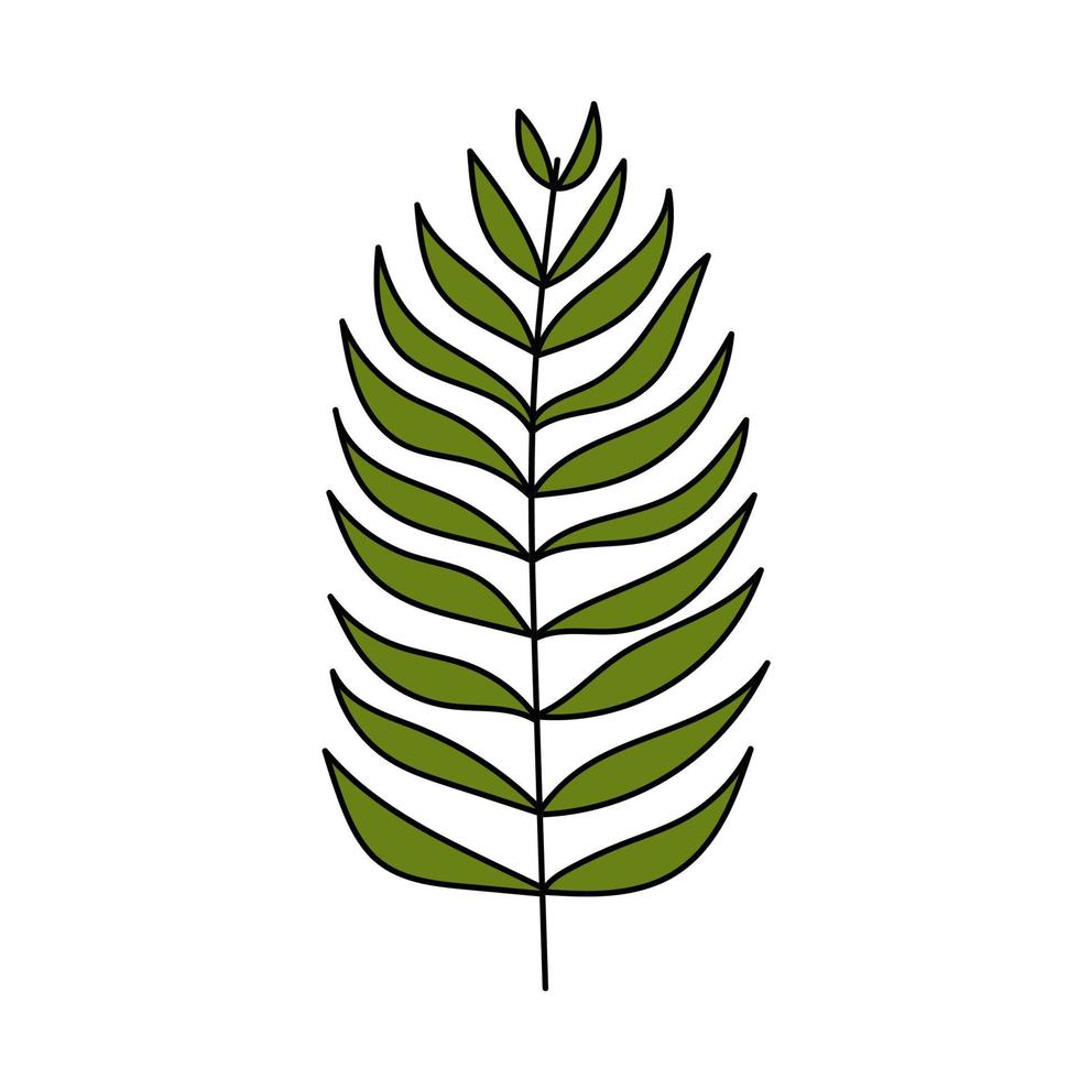 folha de palmeira. planta tropical. ilustração simples. ícone de verão vetor