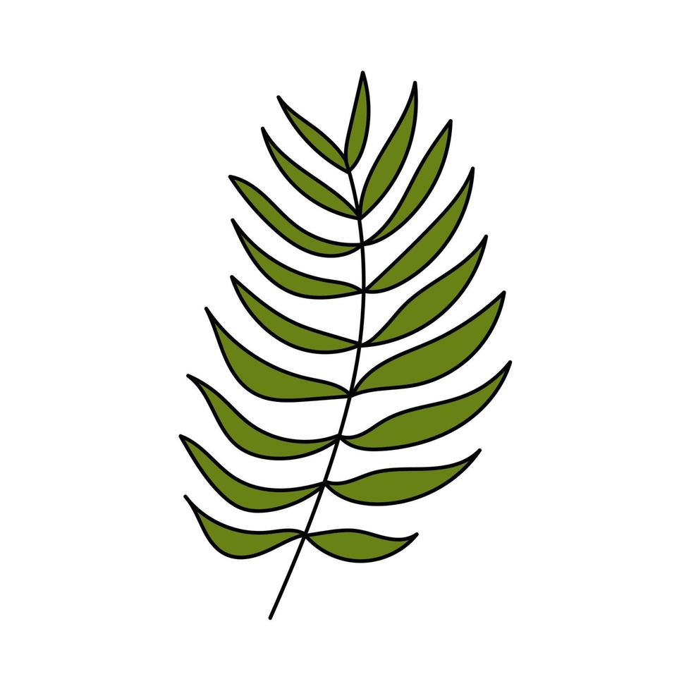 folha de palmeira. planta tropical. ilustração simples. ícone de verão vetor