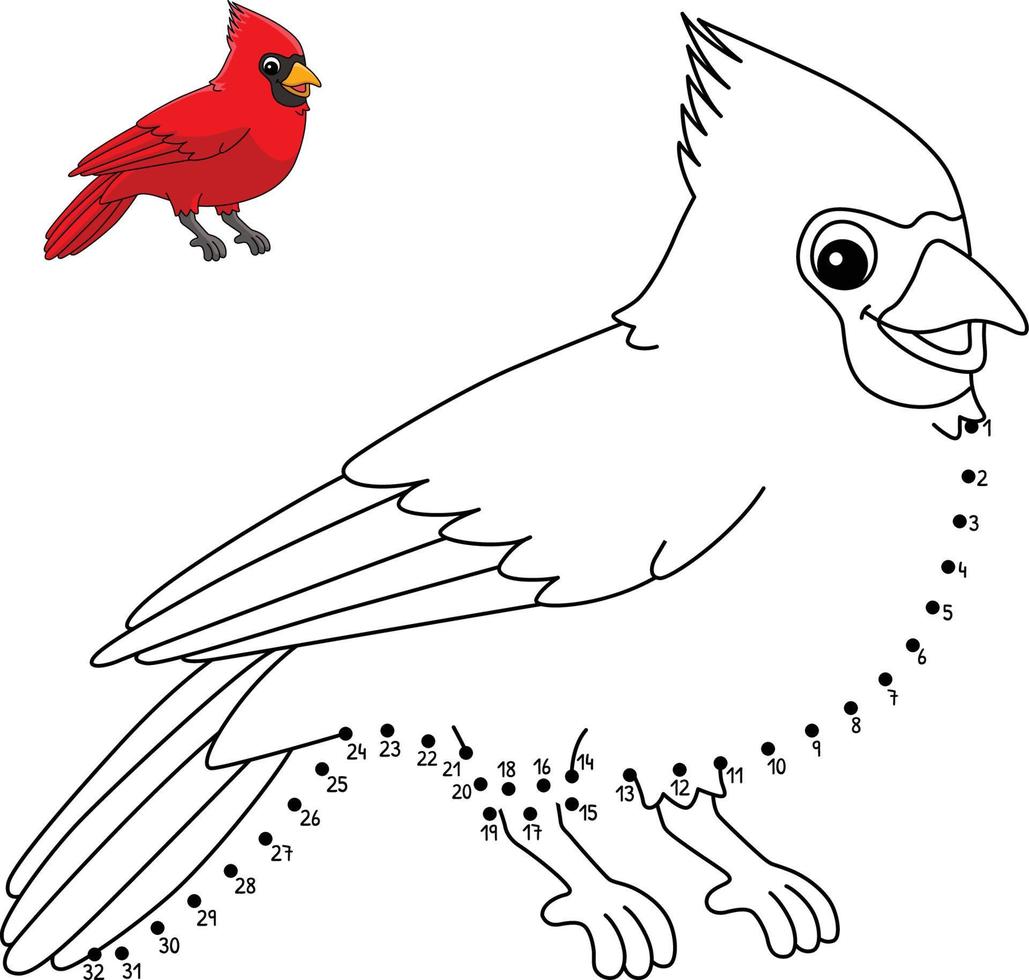 desenho de ponto a ponto animal cardinal isolado para colorir vetor