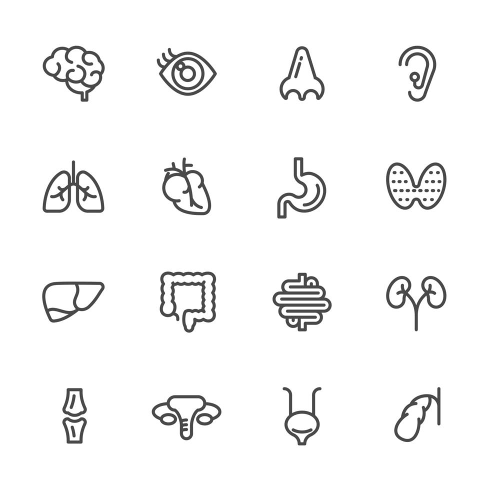conjunto de ícones de pictograma de anatomia vetor