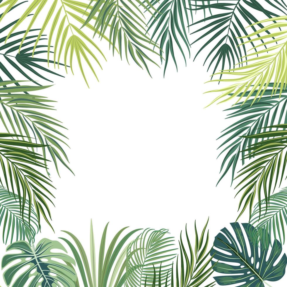 quadro de selva tropical vetorial com palmeiras, flores e folhas em fundo branco vetor