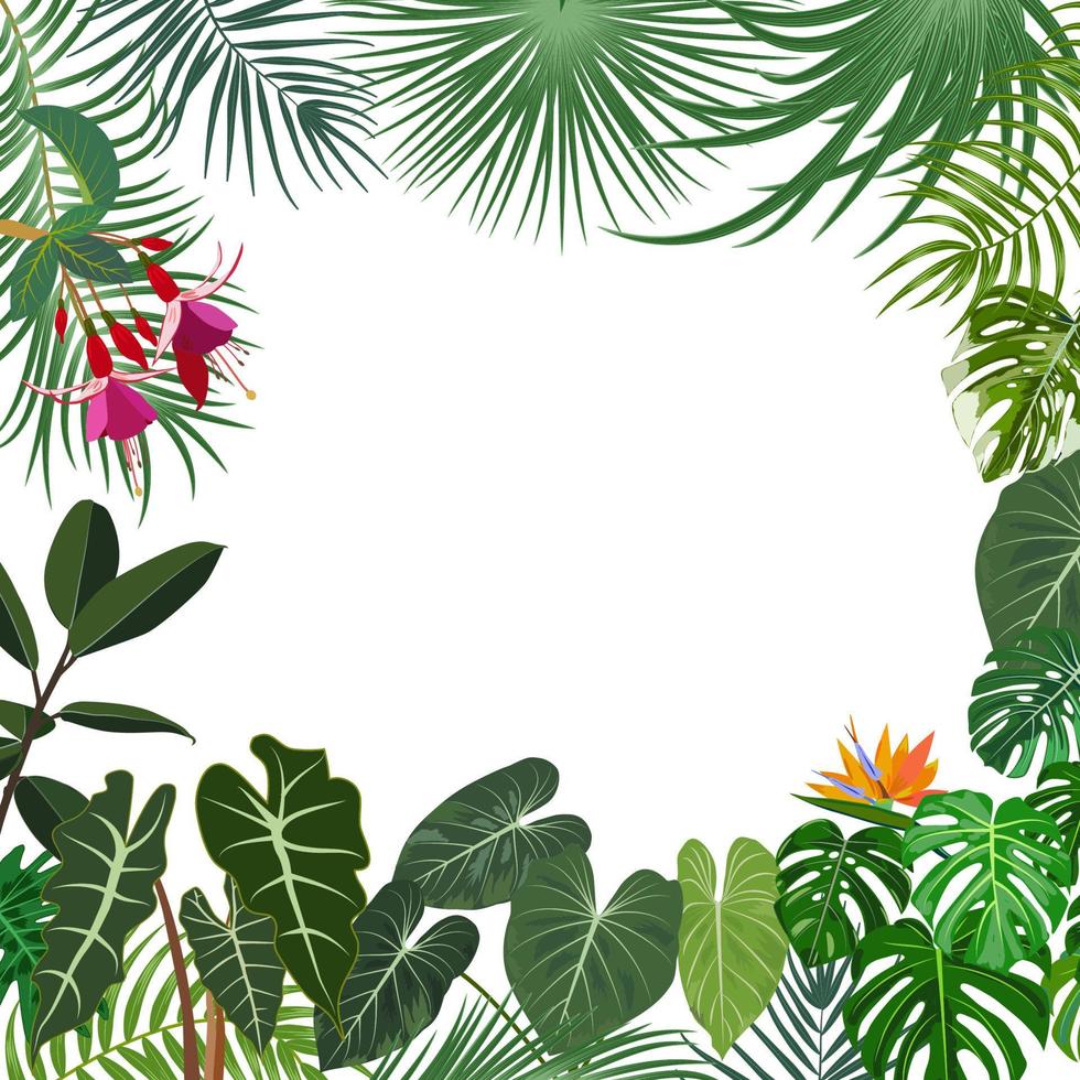vetor bandeira de selva tropical, moldura com palmeiras, flores e folhas em fundo branco