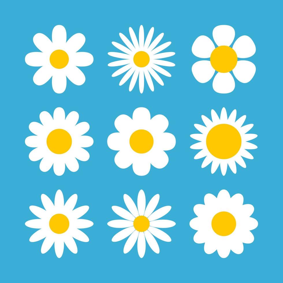 ícone de ilustração de forma de flor vetor camomila margarida. design de desenho animado de flor de camomila