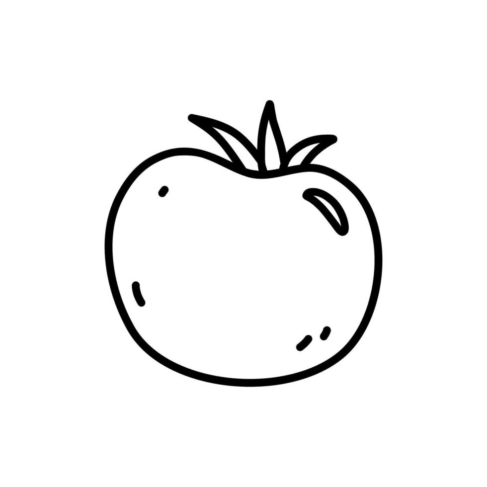 tomate isolado no fundo branco. alimentos saudáveis orgânicos. ilustração vetorial desenhada à mão em estilo doodle. perfeito para cartões, logotipo, decorações, receitas, vários designs. vetor