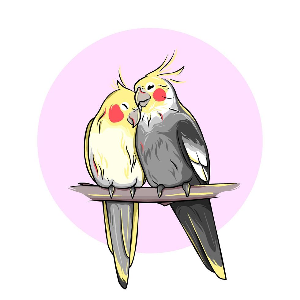 papagaios corella, um par de dois lindos pássaros adoráveis em um galho vetor